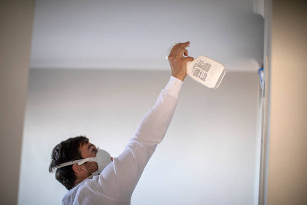 Best Mold Cleaning Services  in Agua Dulce, CA